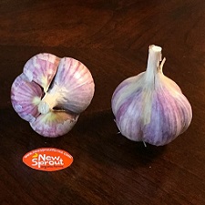 Seed Garlic - Metechi
