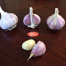 Seed Garlic - Metechi