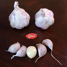 Seed Garlic - California Early