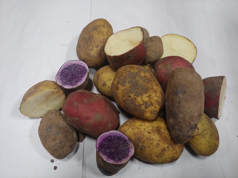 Order Organic Purple Potatoes