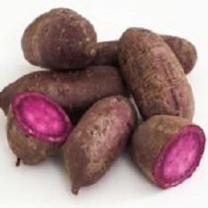Sweet Potato Slips - OG Purple Splendor